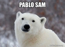 Popular Opinion Polar Bear