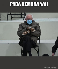 Bernie Sanders at the Inauguration