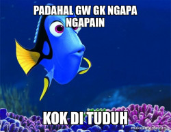 Dory from Nemo  (5 second memory)