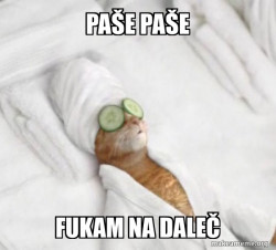 Pampered Cat Meme