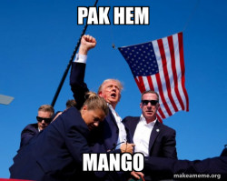 Trump Fist