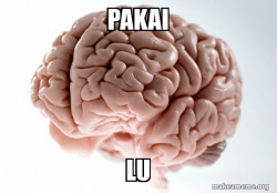 Scumbag Brain