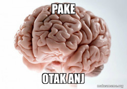 Scumbag Brain
