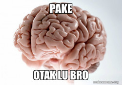 Scumbag Brain