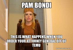 Temu attorney general 