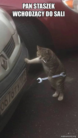 Mechanic Cat