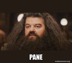 Hagrid - I should not have said that