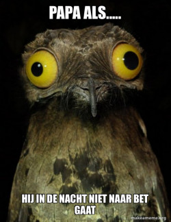 Weird Stuff I do Potoo
