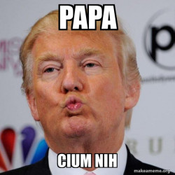Donald Trump Kissing