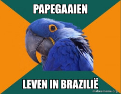 Paranoid Parrot