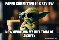 I resubmitted my paper for review to a journal