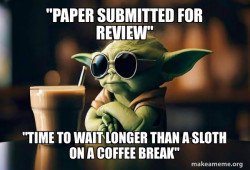I resubmitted my paper for review to a journal