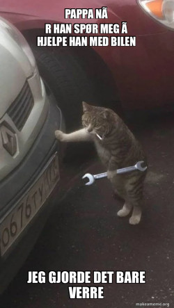 Mechanic Cat