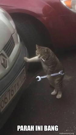 Mechanic Cat