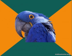 Paranoid Parrot