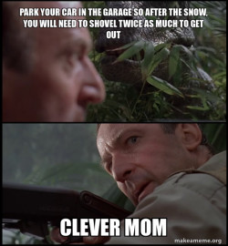 Move the Car in from the Snow