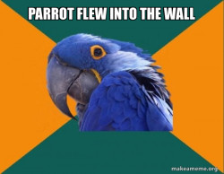 Paranoid Parrot
