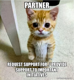 Cute Cat Standing