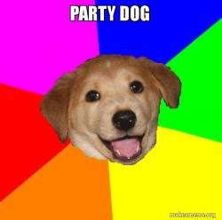 party dog