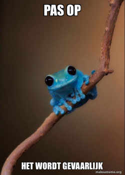 Small Fact Frog