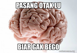 Scumbag Brain
