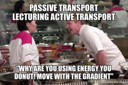 Gordon Ramsay