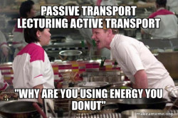 Gordon Ramsay