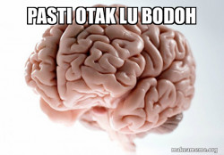 Scumbag Brain