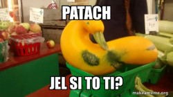 Gourd Advice Mallard