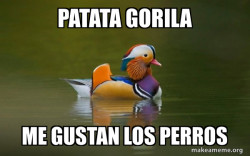 Fashionable Advice Mallard