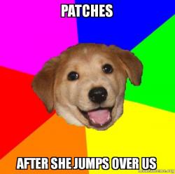 Advice Dog