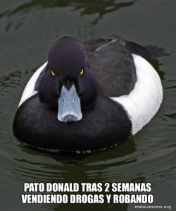 Revenge Duck ( Angry Advice Duck )