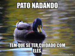 Zen Advice Mallard