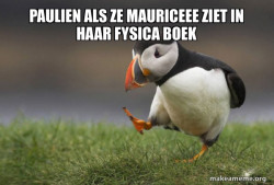 Unpopular Opinion Puffin