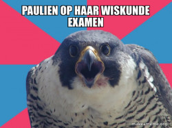 Millennial Falcon