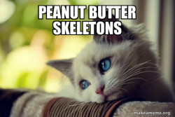 First World Cat Problems