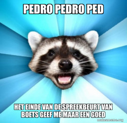 Lame Pun Coon