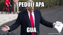 Trump - Impeachment Quid Pro Quo