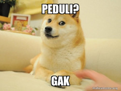 Doge
