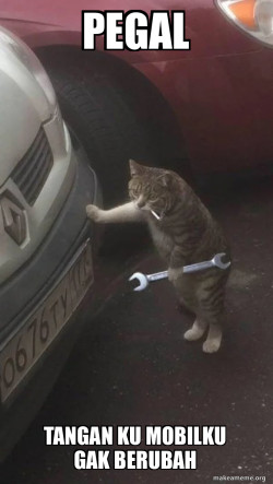 Mechanic Cat