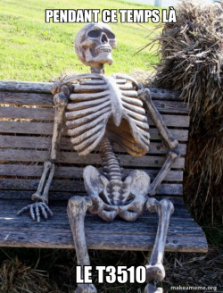 Waiting Skeleton