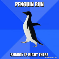 Socially Awkward Penguin