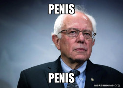 Bernie Sanders
