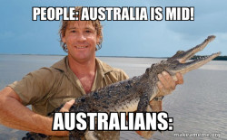 Steve irwin