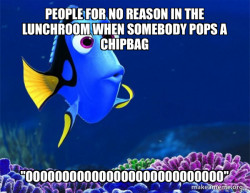 Dory from Nemo  (5 second memory)