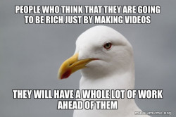 Stuff That Didn't Happen Seagull