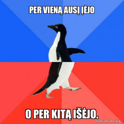 Socially Awkward Awesome Penguin