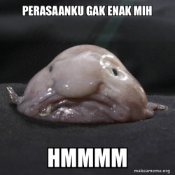 Blobfish