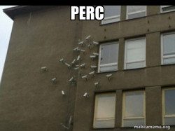 Paranoia meme