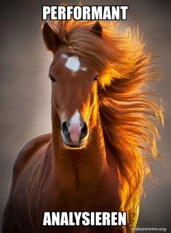 Ridiculously photogenic horse